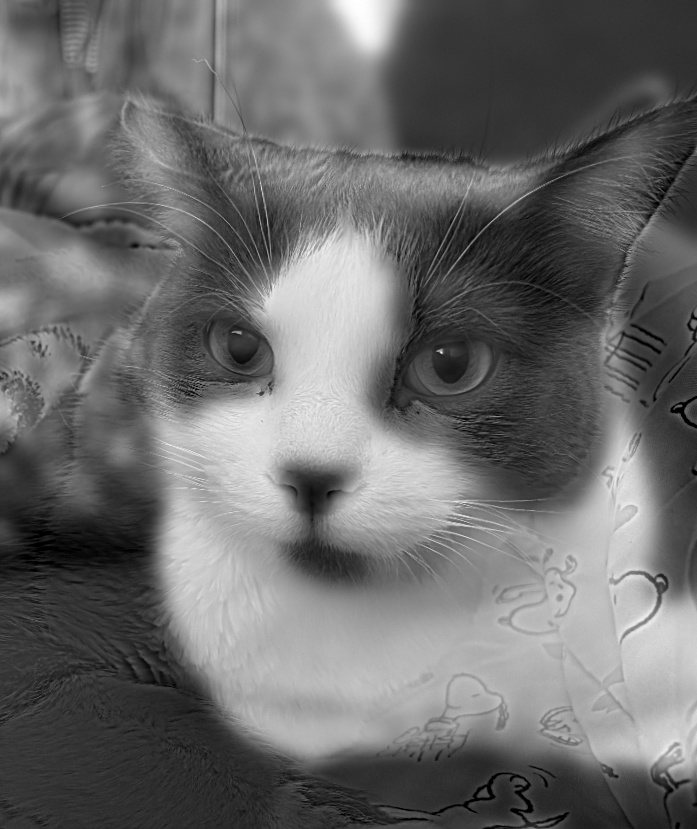Grayscale