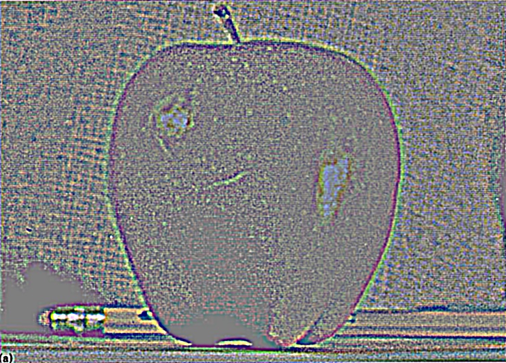 L1