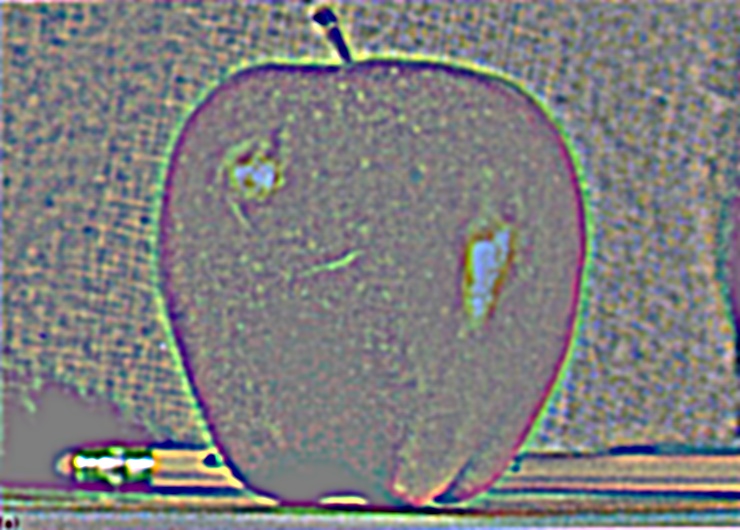 L2
