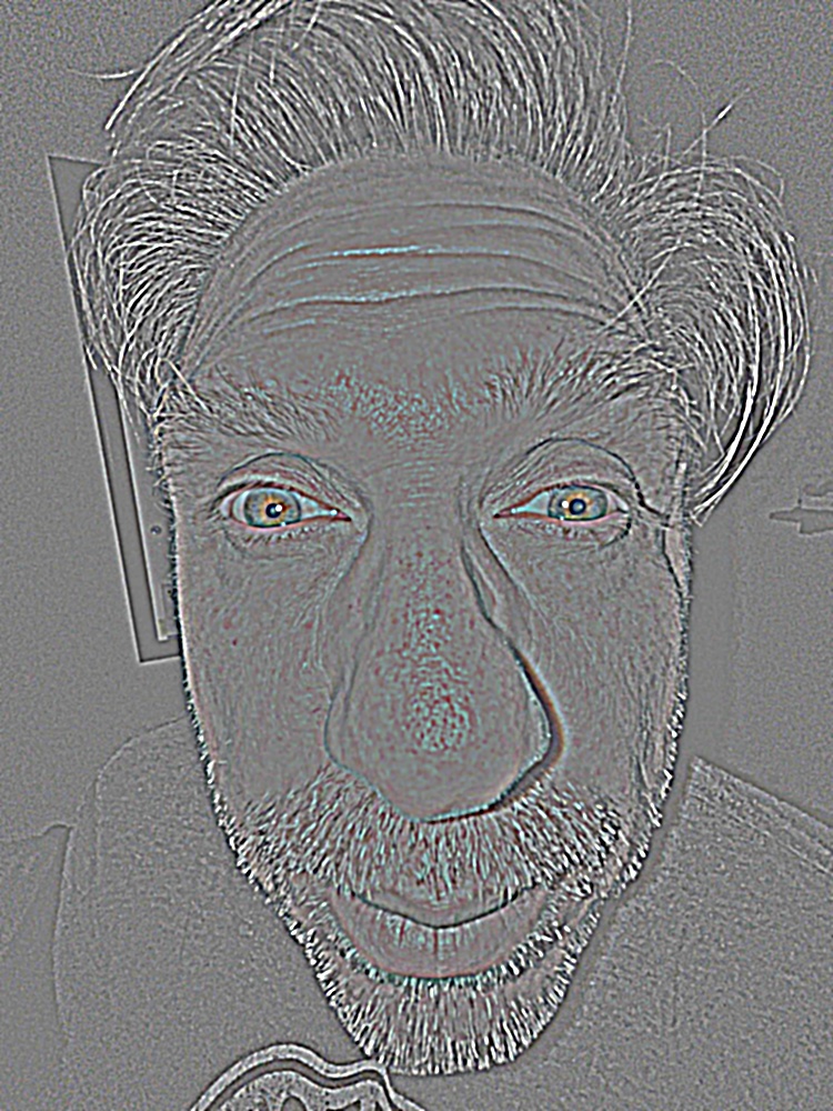 L1