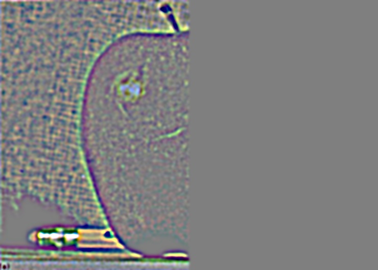 (d) Masked apple, level 2