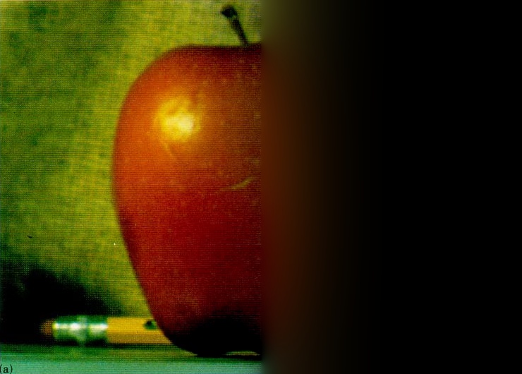 (j) Masked apple, collapsed