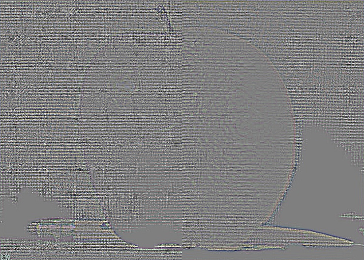 (c) Blended, level 0