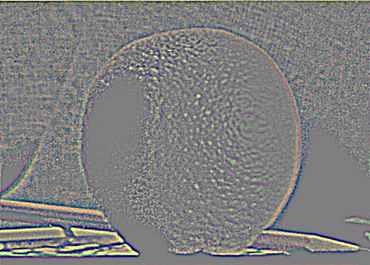 L1