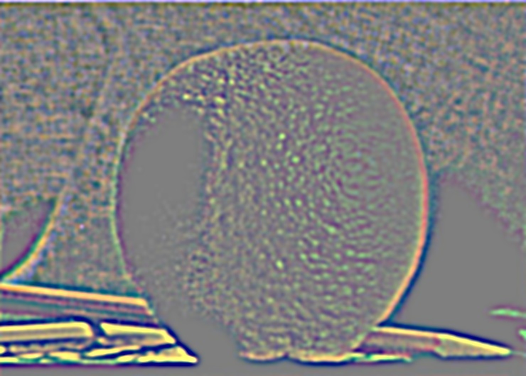 L2