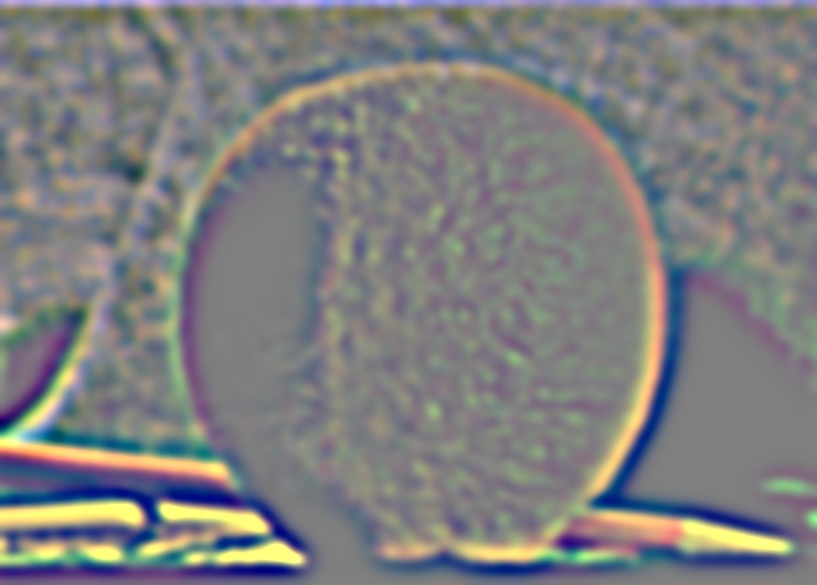 L3