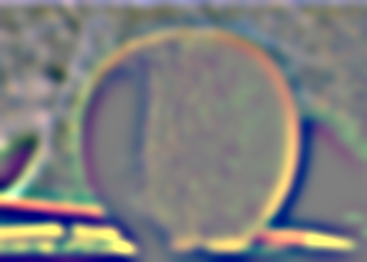 L4