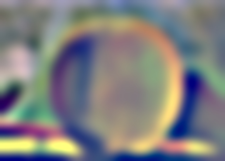 L5