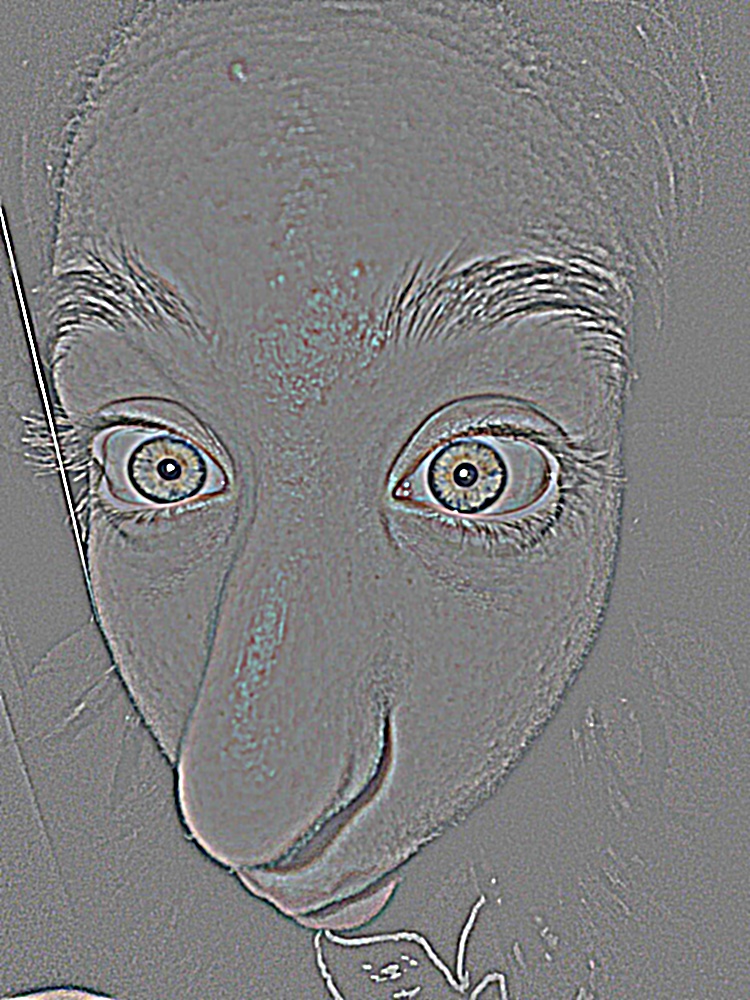 L1