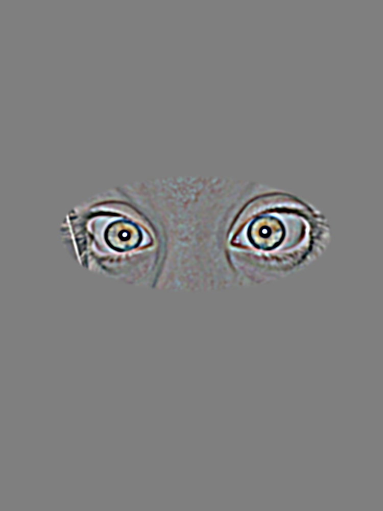 (e) Masked sister 2, level 2