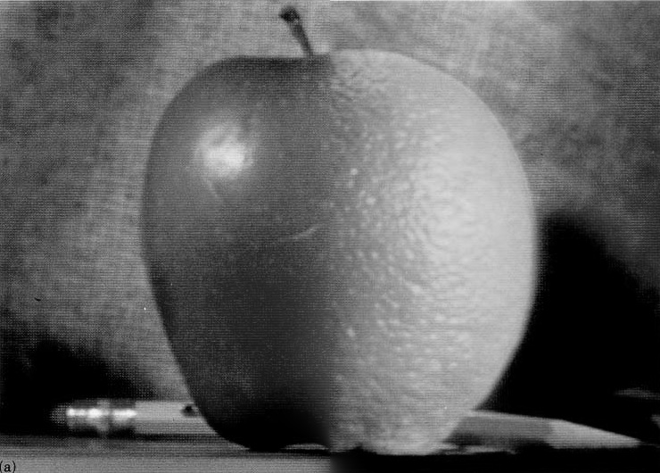Oraple, grayscale