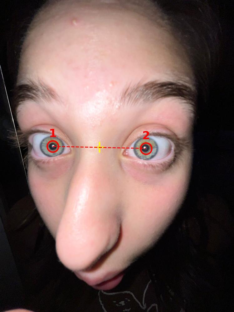 Sister 2 with alignment points